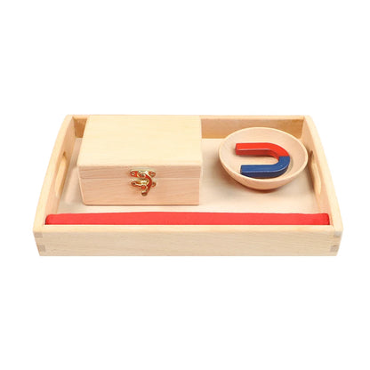 Montessori Magnet ActivitiesPractical Life Materials Kids Science Learning Resouces Early Childhood Education Game Teaching Aids