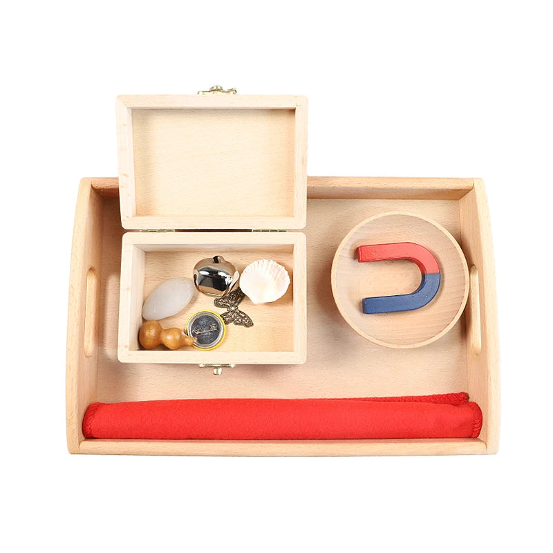 Montessori Magnet ActivitiesPractical Life Materials Kids Science Learning Resouces Early Childhood Education Game Teaching Aids