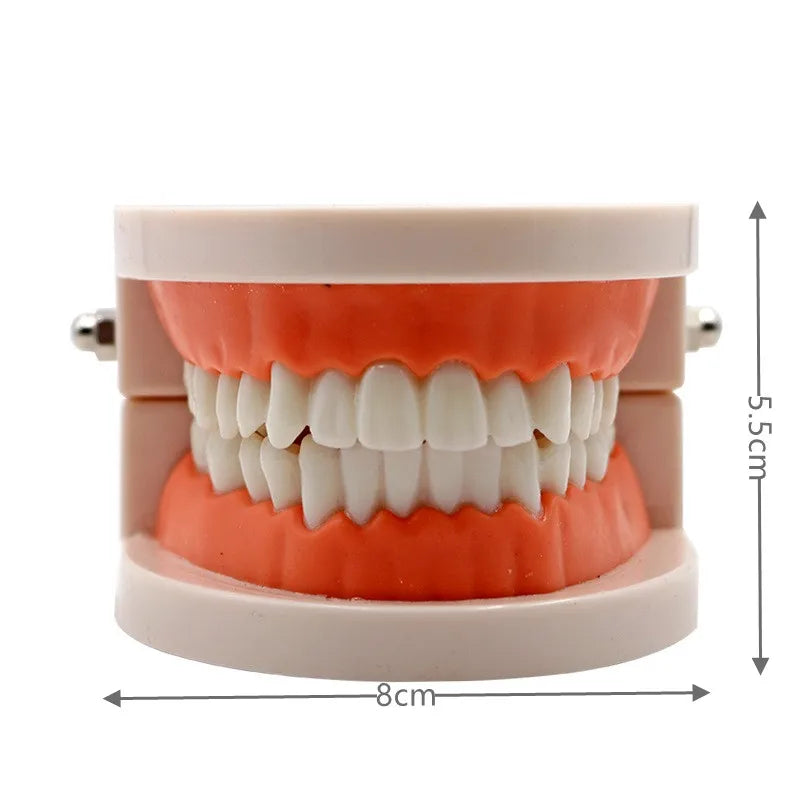 Montessori Educational Toys for Children Early Learning Kids Intelligence Brushing Tooth Teaching Aids Simulated Practical Life
