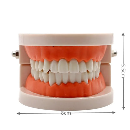 Montessori Educational Toys for Children Early Learning Kids Intelligence Brushing Tooth Teaching Aids Simulated Practical Life