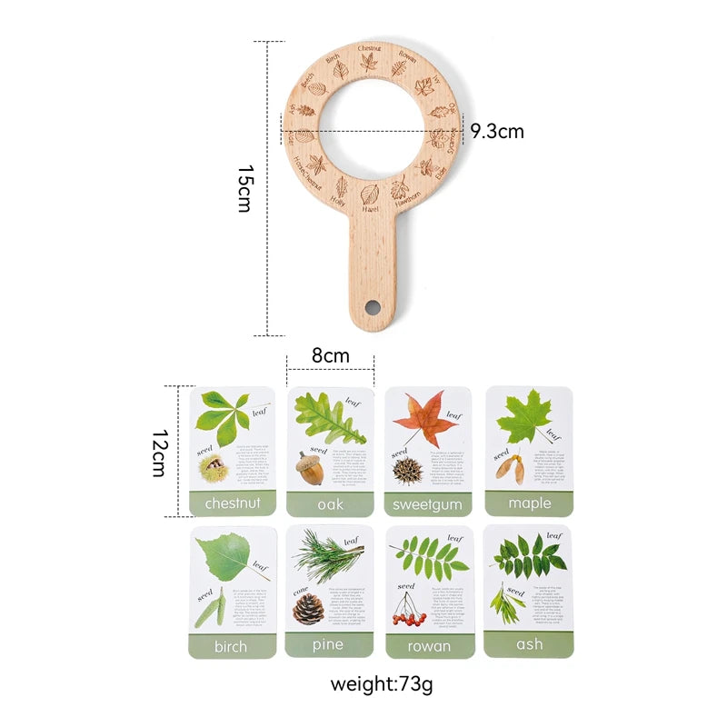 Kid Outdoor Explorer Kit Insect Leaf Cognitive Exploration Toy Montessori Toy Kid Wooden Wilderness Adventure Game Set Baby Gift