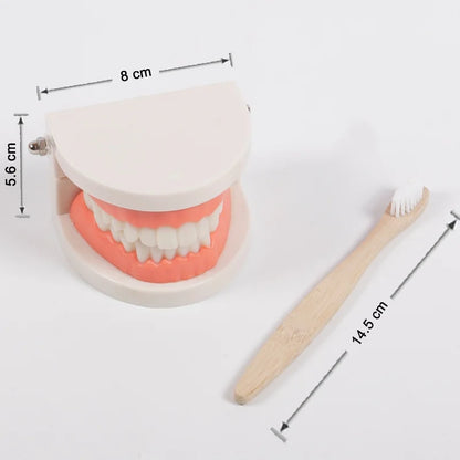 Montessori Educational Toys for Children Early Learning Kids Intelligence Brushing Tooth Teaching Aids Simulated Practical Life