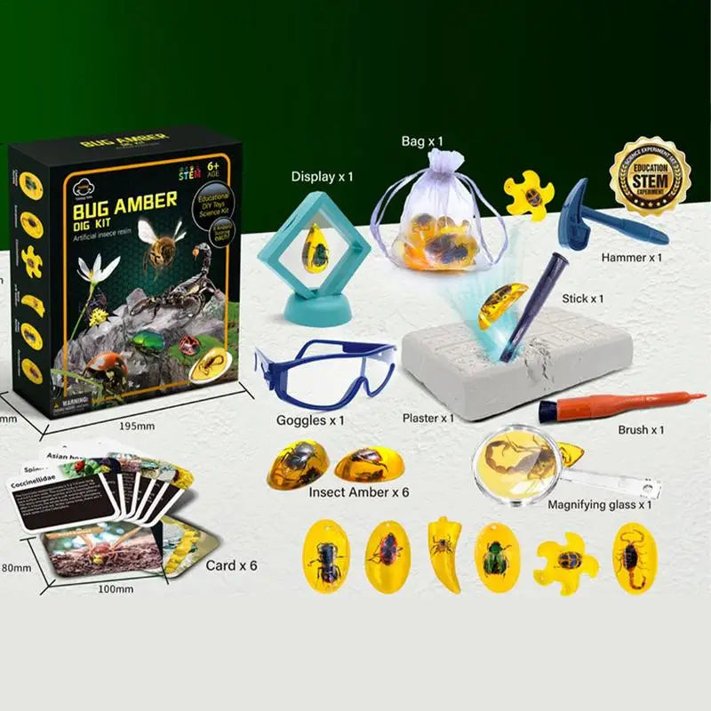 Excavate Fly Toys Kit Amber Excavation Toys Fly Model Interactive STEM Toy Science Kits Educational Toys Dig Set Animal