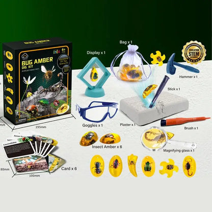Excavate Fly Toys Kit Amber Excavation Toys Fly Model Interactive STEM Toy Science Kits Educational Toys Dig Set Animal