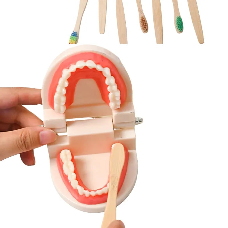 Montessori Educational Toys for Children Early Learning Kids Intelligence Brushing Tooth Teaching Aids Simulated Practical Life