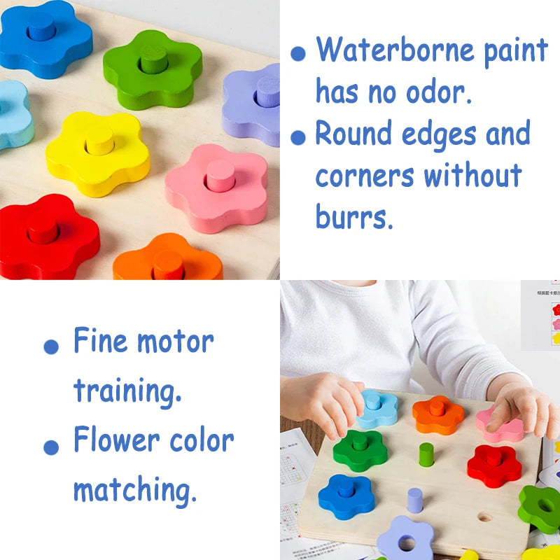 Montessori Sensory Play Color Matching Children Early Education Learning Board Games Logical Thinking Training Educational Toys