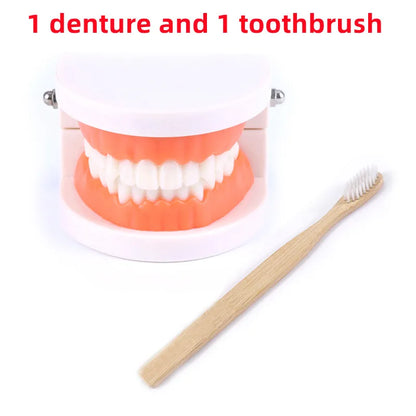 Montessori Educational Toys for Children Early Learning Kids Intelligence Brushing Tooth Teaching Aids Simulated Practical Life