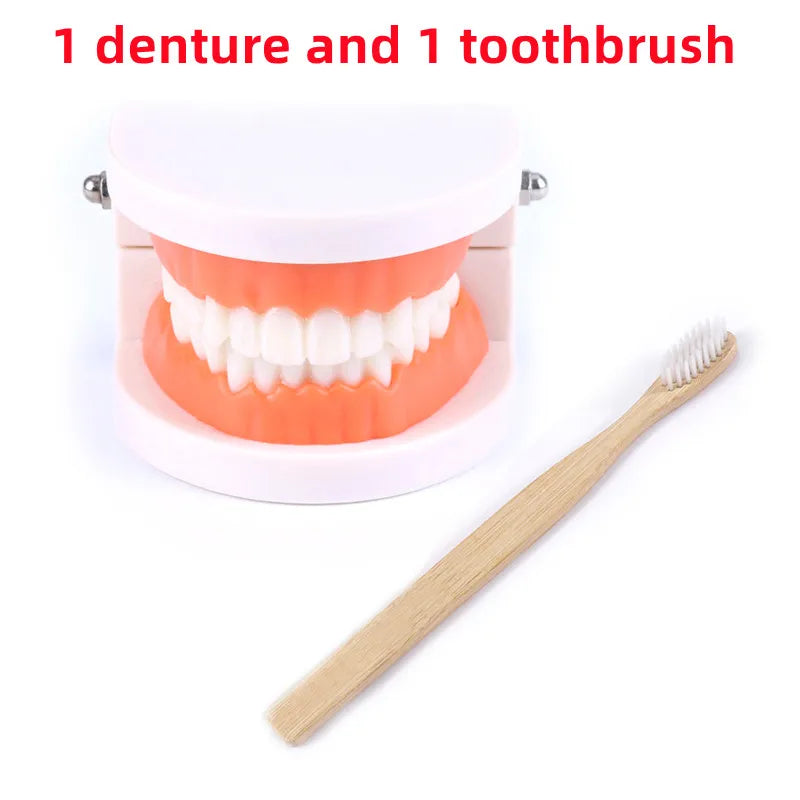 Montessori Educational Toys for Children Early Learning Kids Intelligence Brushing Tooth Teaching Aids Simulated Practical Life