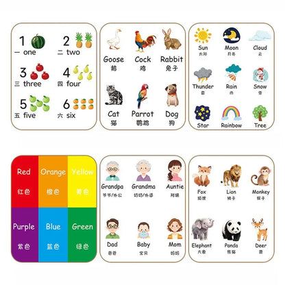 Creative Baby Cognitive Card Double Sided Vertical Screen Sight Words Cards Digital Format Cartoon Digital Animal Card