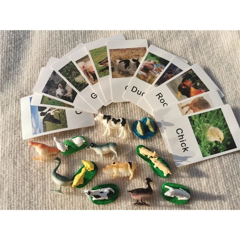 Montessori Toys Wooden Learning Tablet with Chalks Divided Trays Simulation Animals Matched English Study Cards