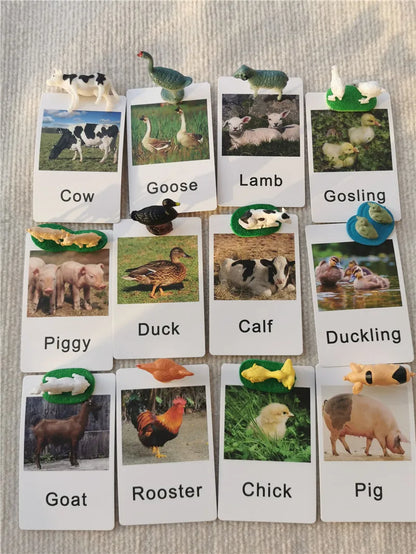 Montessori Toys Wooden Learning Tablet with Chalks Divided Trays Simulation Animals Matched English Study Cards