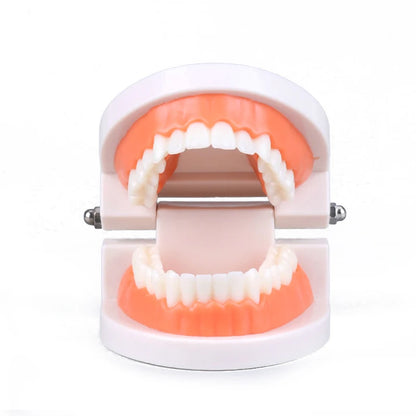 Montessori Educational Toys for Children Early Learning Kids Intelligence Brushing Tooth Teaching Aids Simulated Practical Life