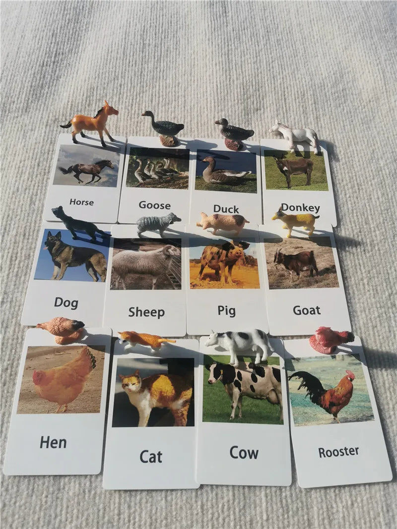 Montessori Toys Wooden Learning Tablet with Chalks Divided Trays Simulation Animals Matched English Study Cards